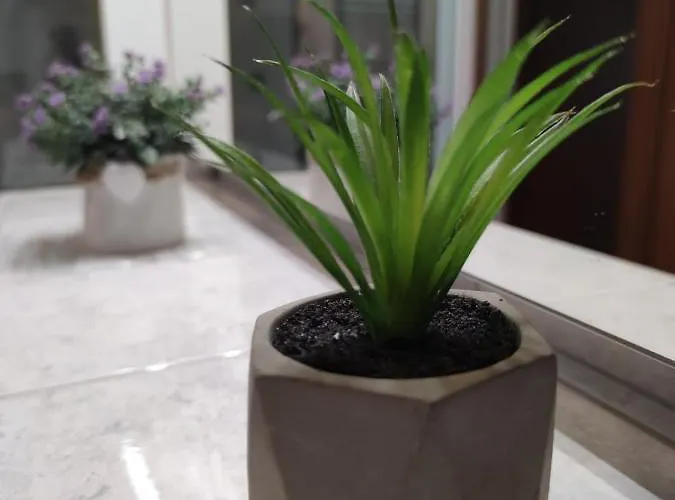 Lejlighed Sve U 5 Minuta *