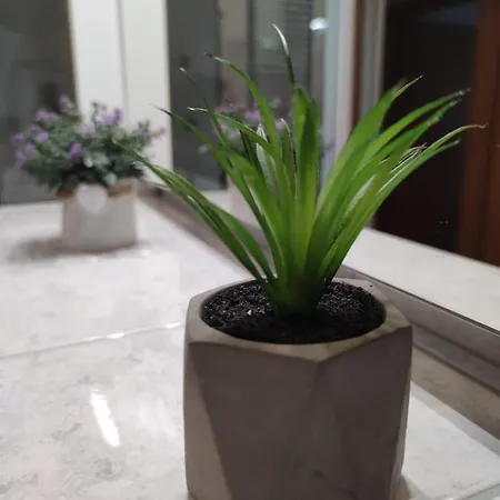 Апартаменты Sve U 5 Minuta *